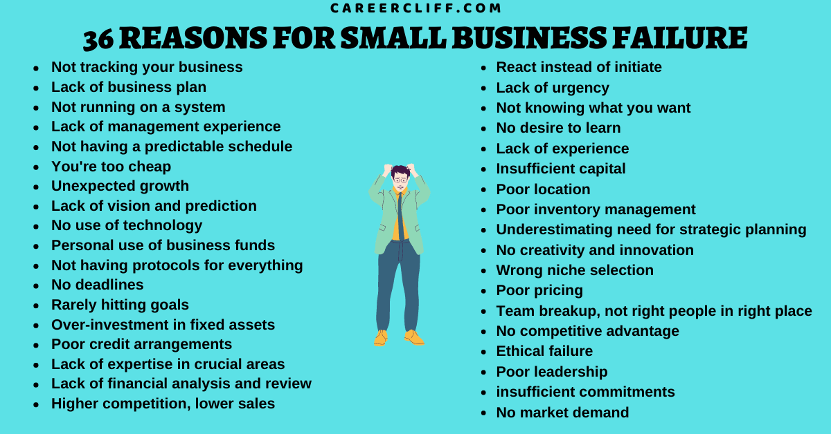 reasons why some business plan fail
