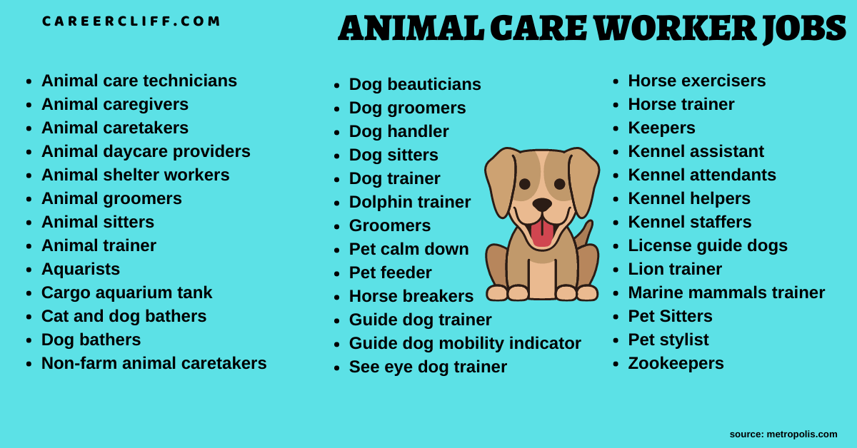 40 Animal Care Service Worker Jobs- Duties | Prospects | Salary -  CareerCliff