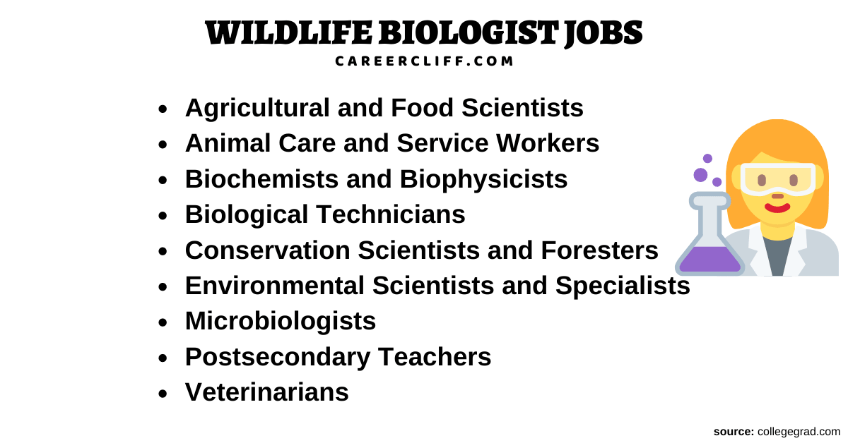 Wildlife biologist job description uk