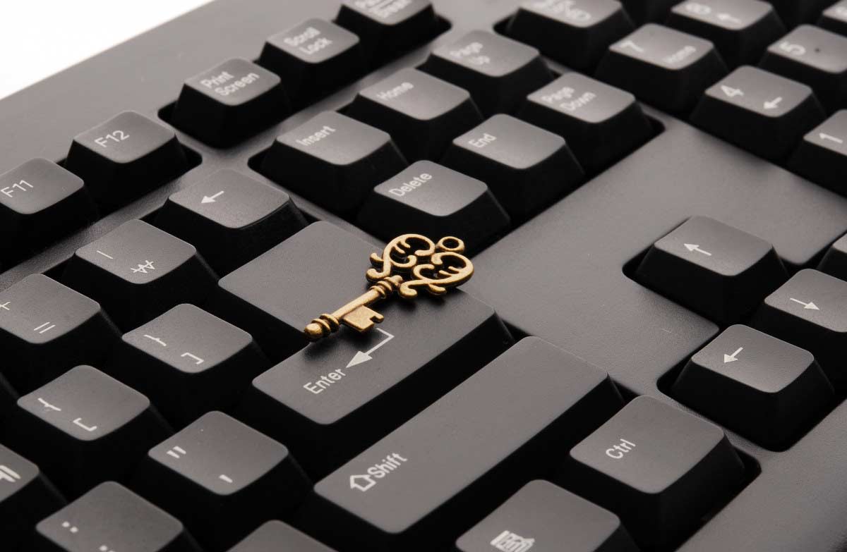 network administrator it