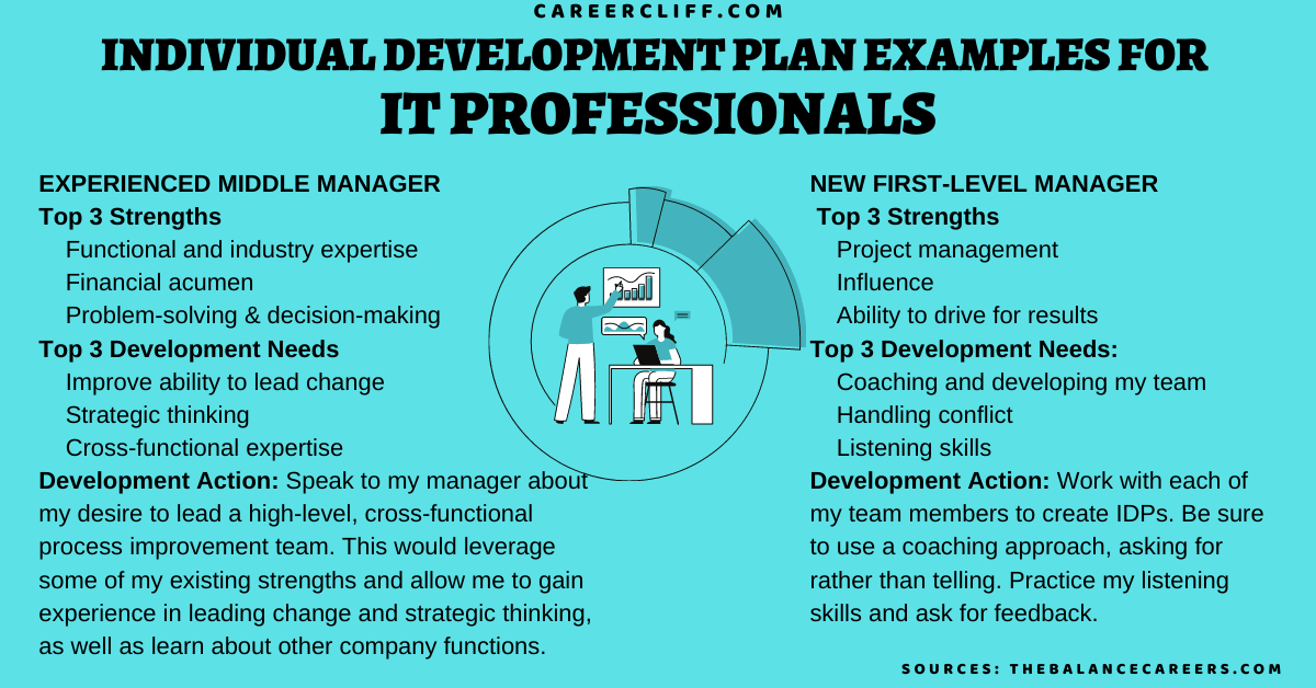 individual development plan examples for it professionals