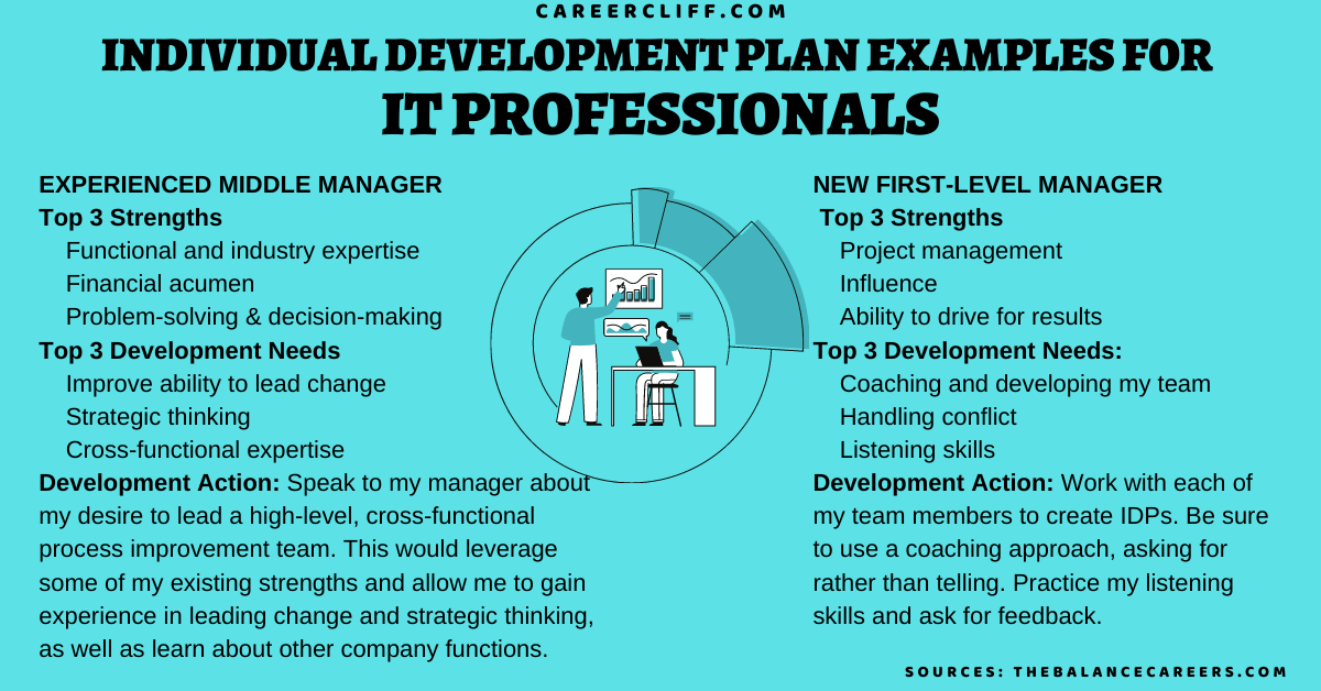 individual development plan networking